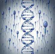 国内代怀费用多少,铜陵三代试管生孩子价格